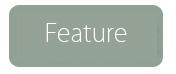Diversal Feature