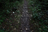 Instrumentals For Singers 